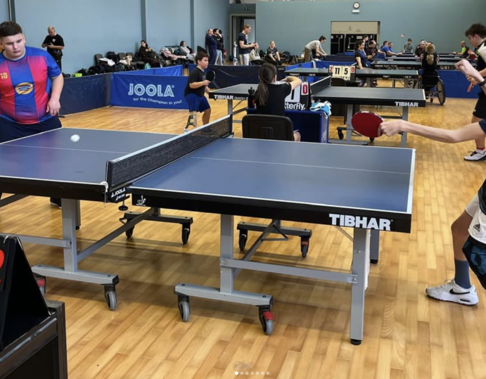 hpsts parastolni tenis