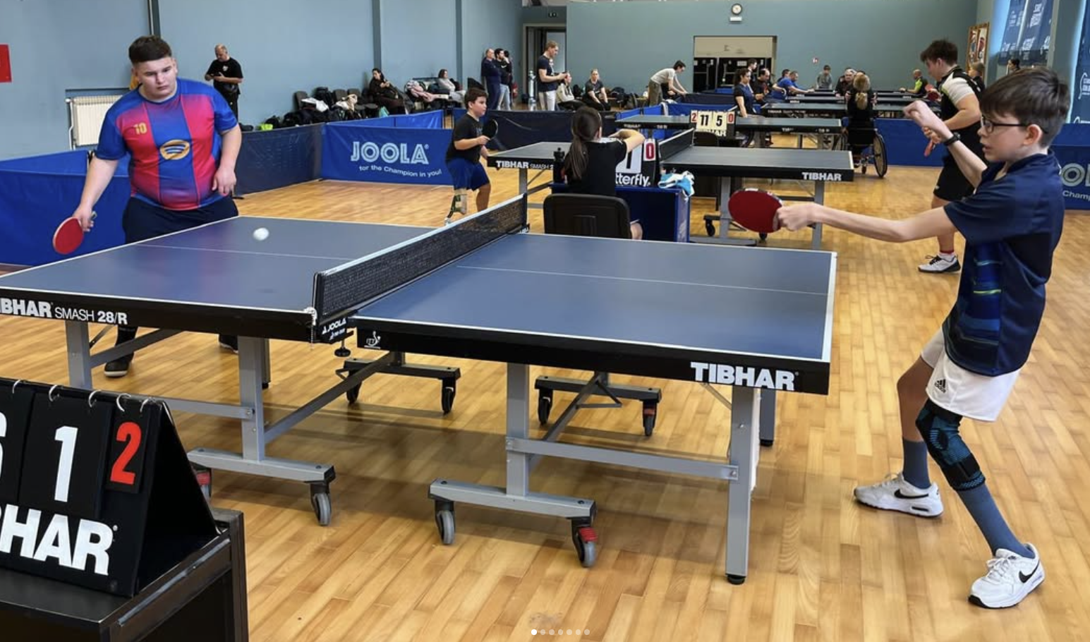 hpsts parastolni tenis